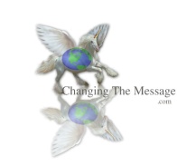 Changing The Message logo